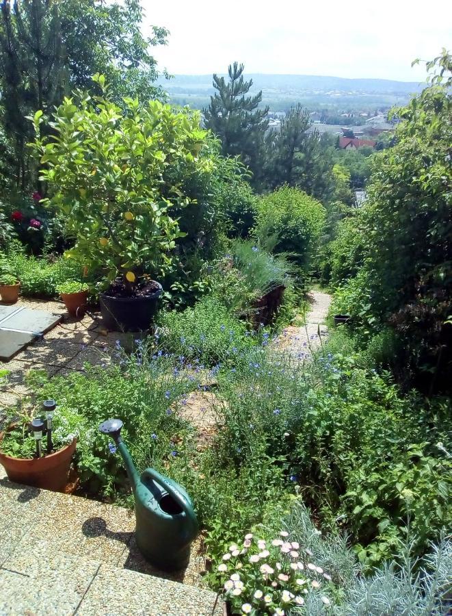 Anna Apartment Budaörs Dış mekan fotoğraf